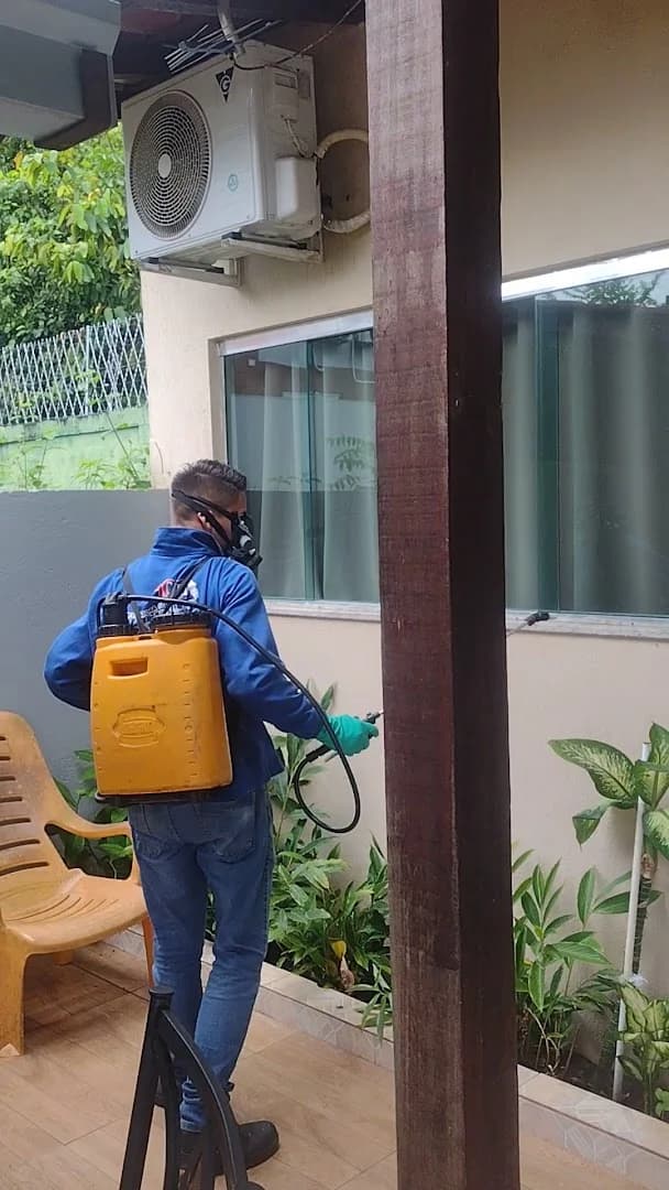 Dedetizadora Manaus I Controle de Pragas – foto 2