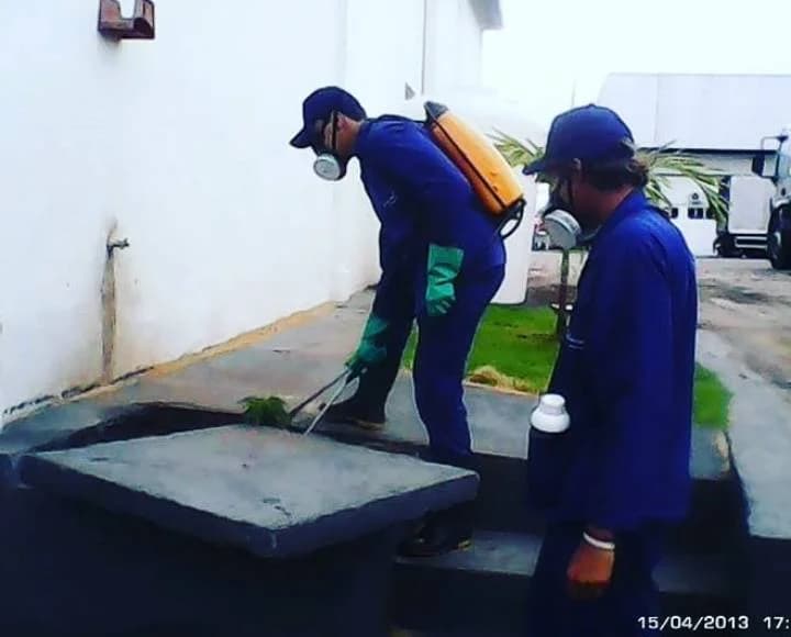Dedetizadora Manaus I Controle de Pragas – foto 3