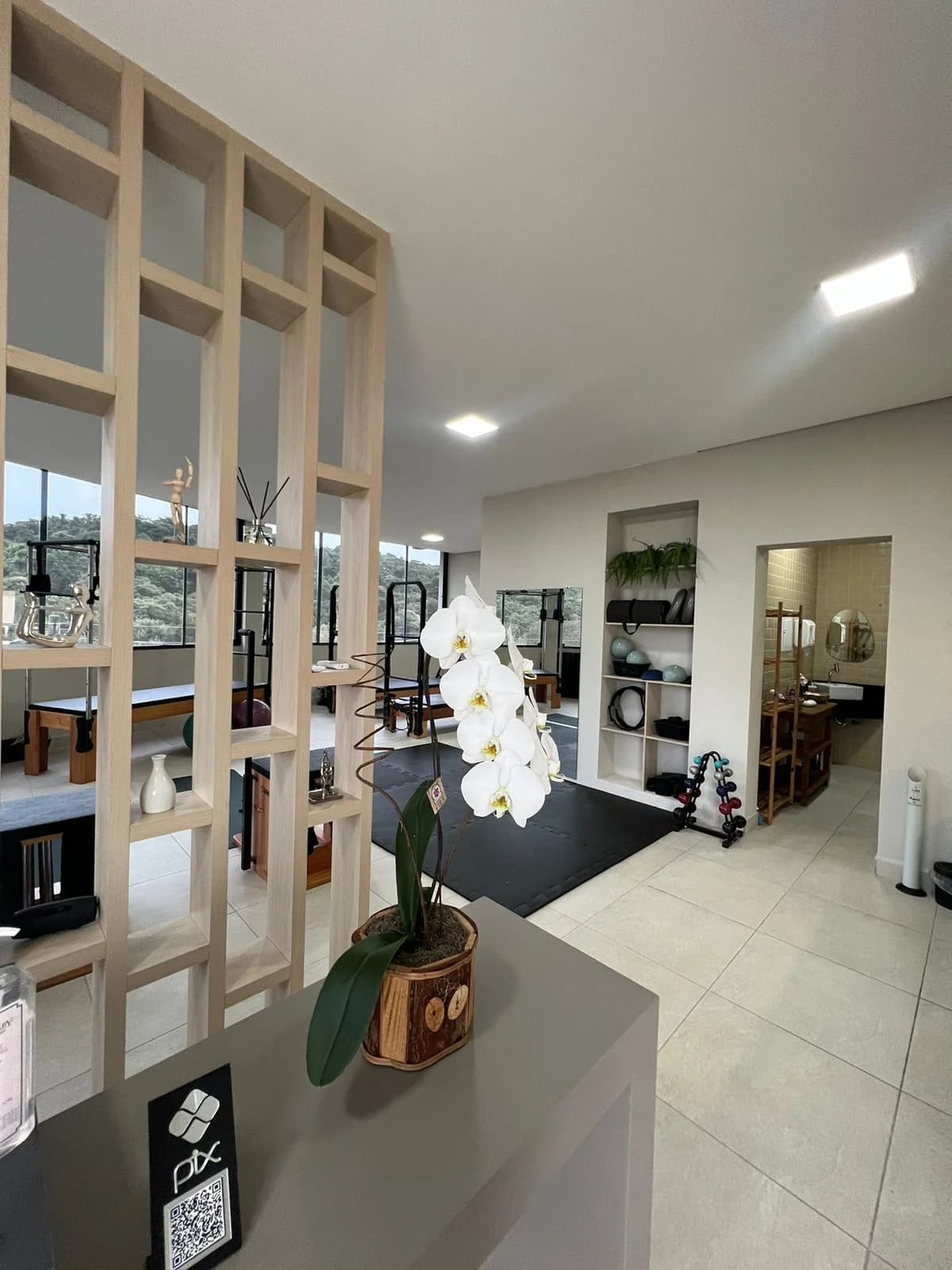 Carol Dragonetti Fisiopilates – foto 2