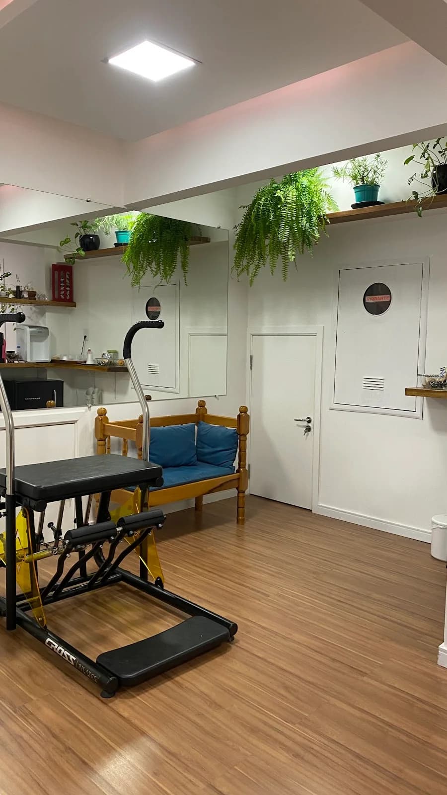 Anelise Possamai Fisioterapia e Pilates – foto 2