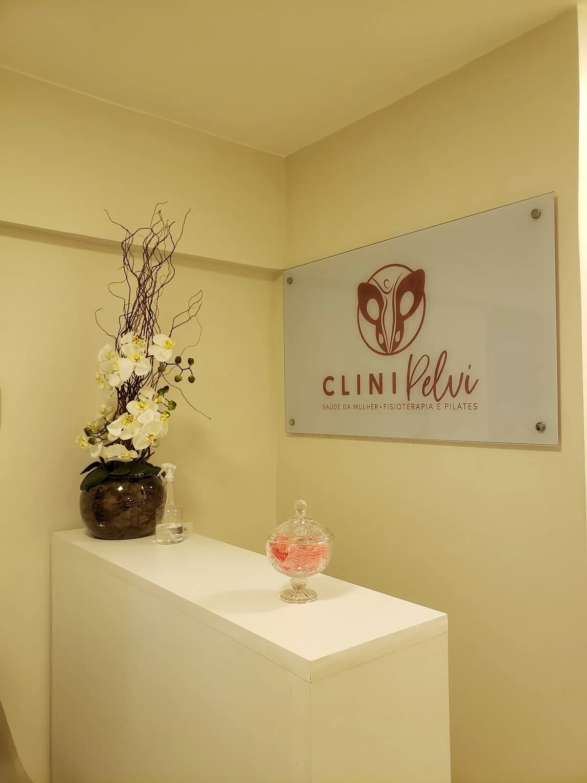 CLINIPELVI Fisioterapia e Pilates – foto 2