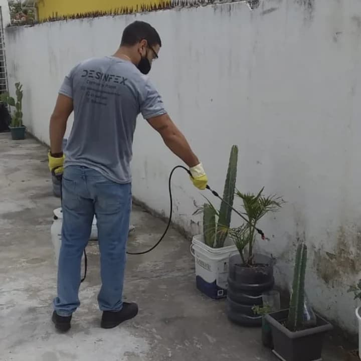 Desinfex - Controle de Pragas e Paisagismo – foto 2