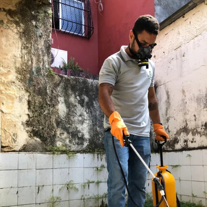 Desinfex - Controle de Pragas e Paisagismo – foto 3
