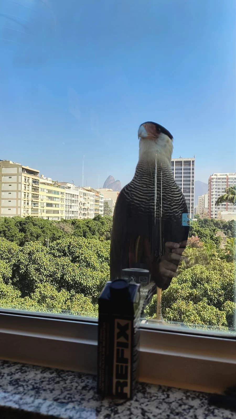 Academia Ipanema – foto 2