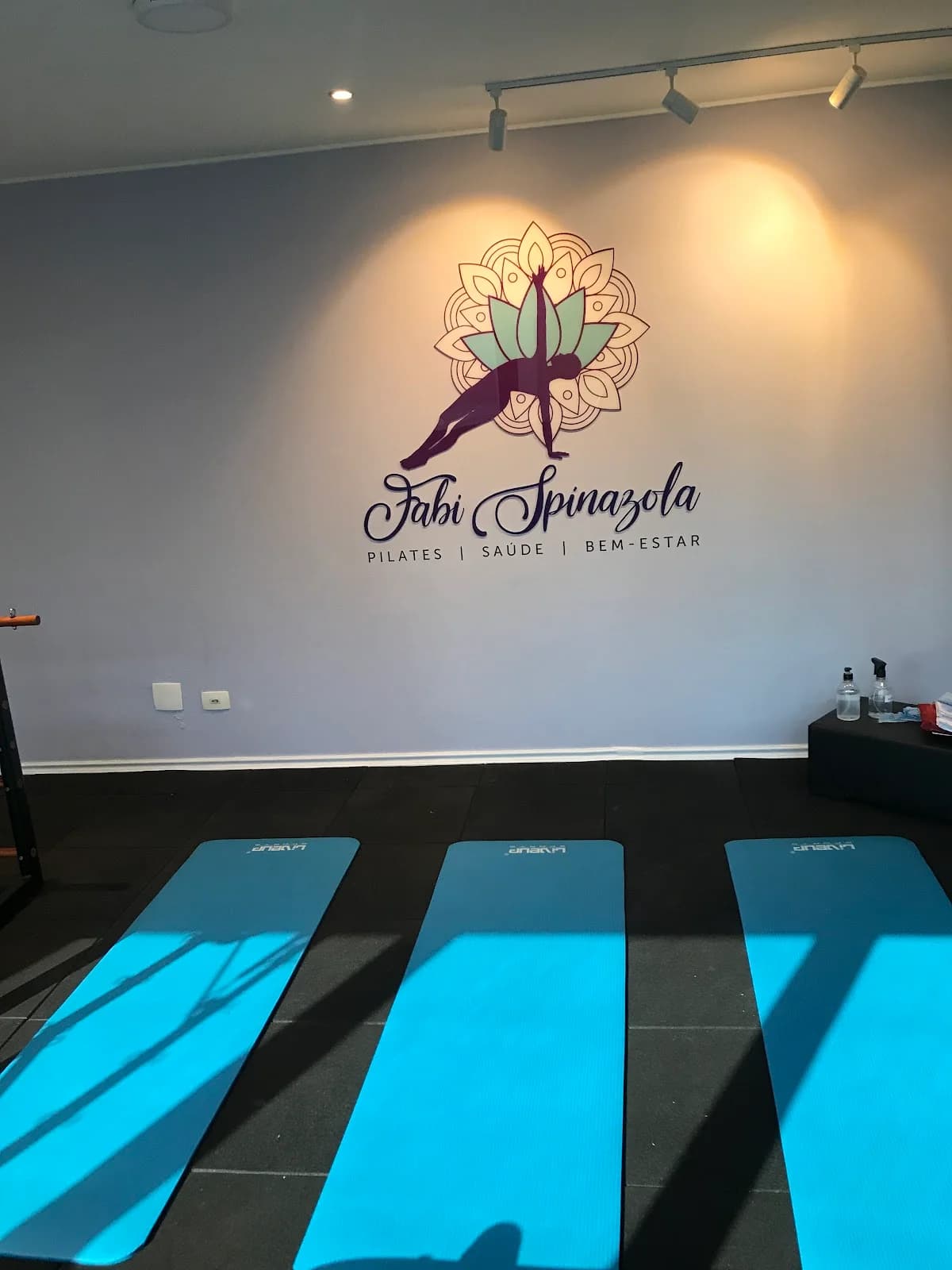 Fabi Spinazola Pilates/Saúde/Bem Estar – foto 3