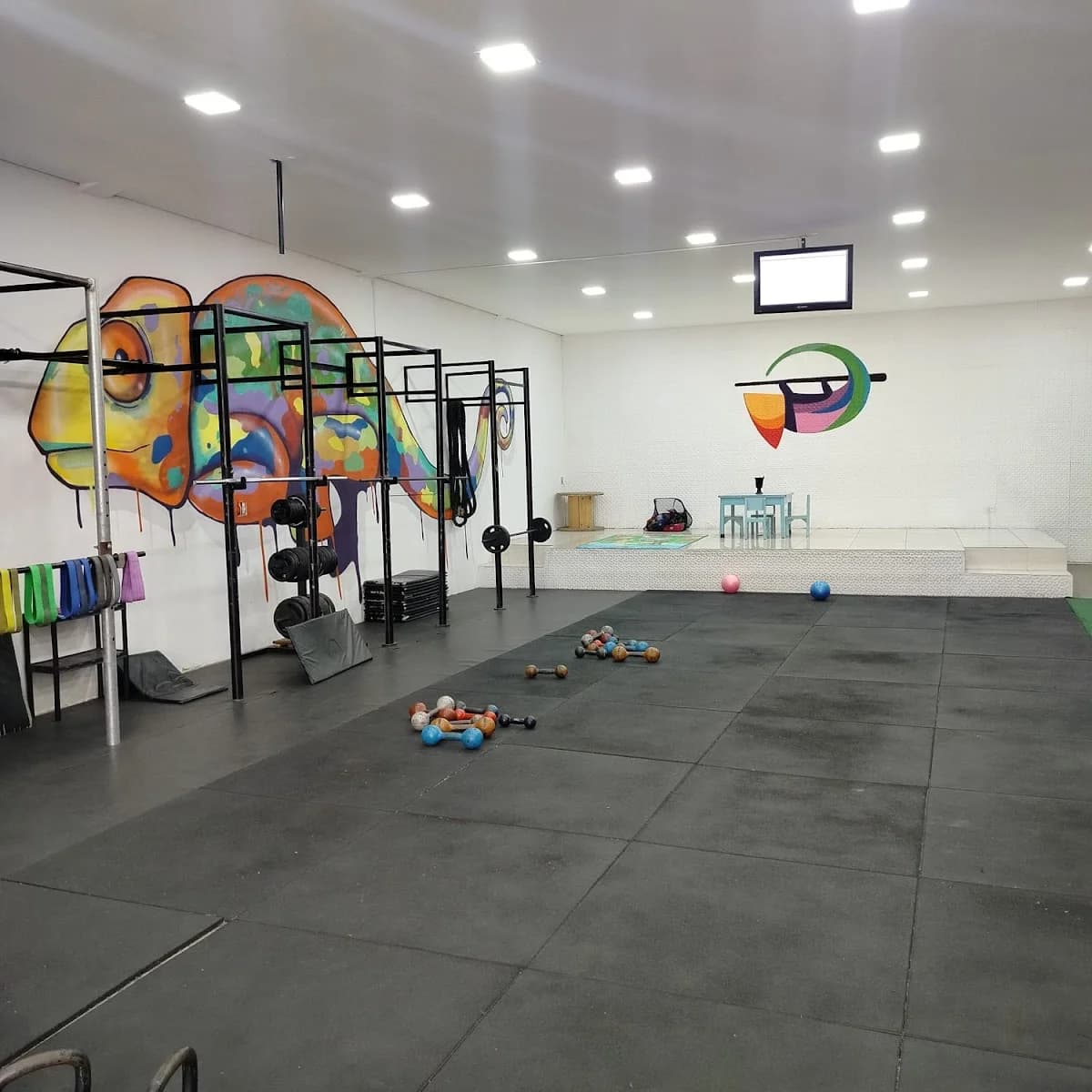 Kamaleão Estúdio - Treinamento Funcional e Pilates – foto 2