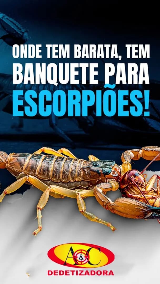 A C Controles de Pragas – foto 2