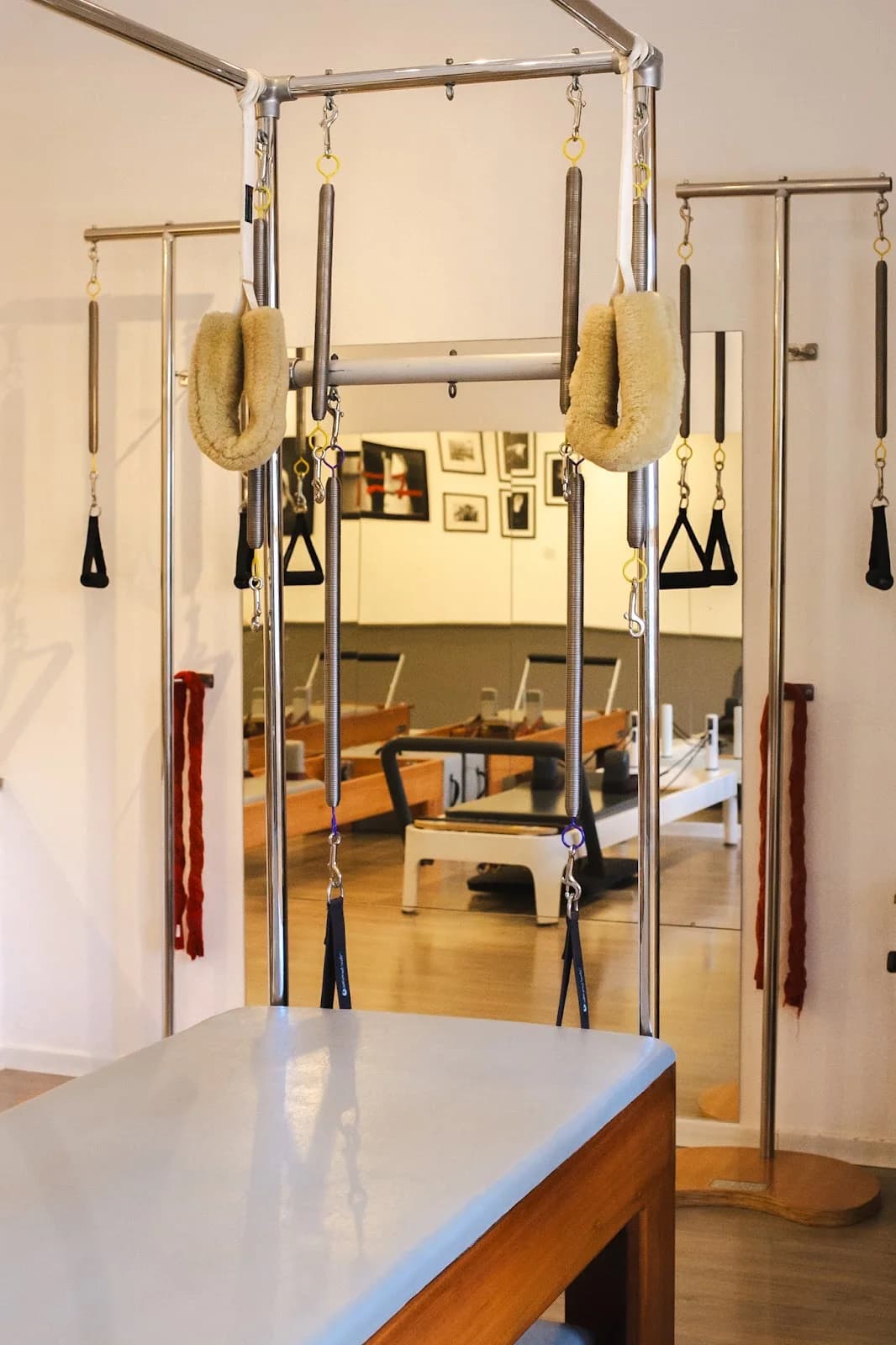 Pilates La Santé Santa Rosa - Fisioterapeuta Mariana Monnerat – foto 2