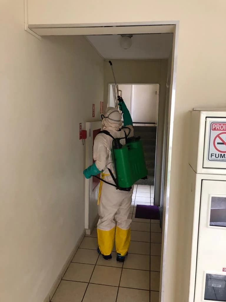 DDFIX Dedetizadora e Desentupidora 24 Horas – foto 3