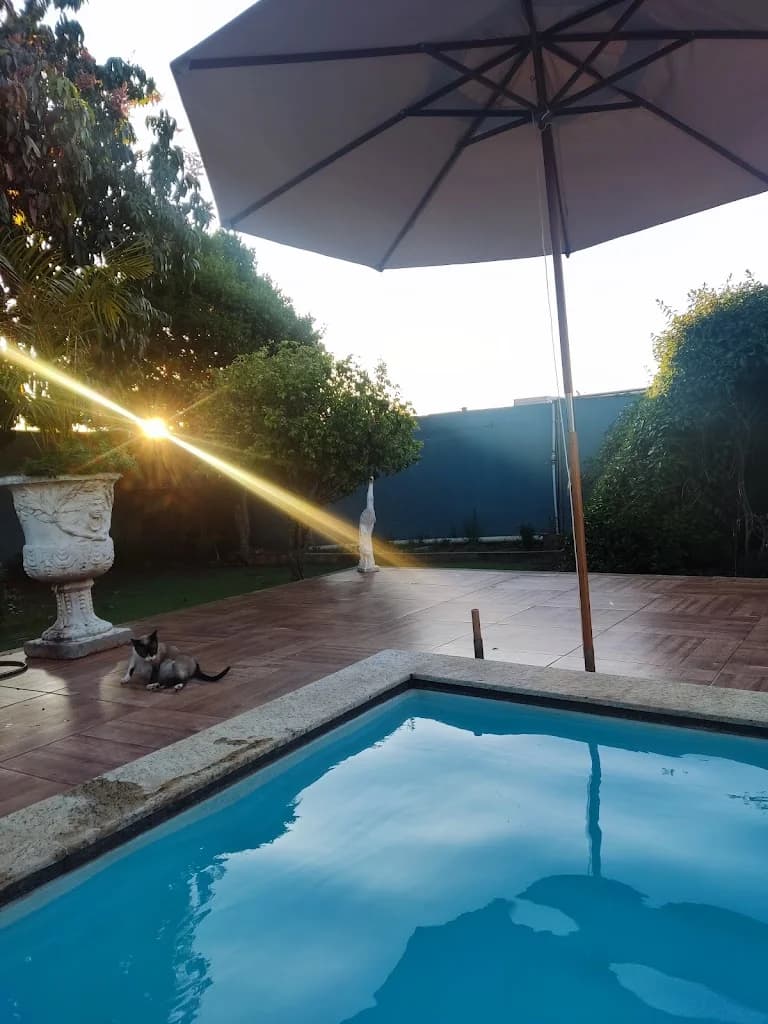 SPA Flor de Lótus – foto 1