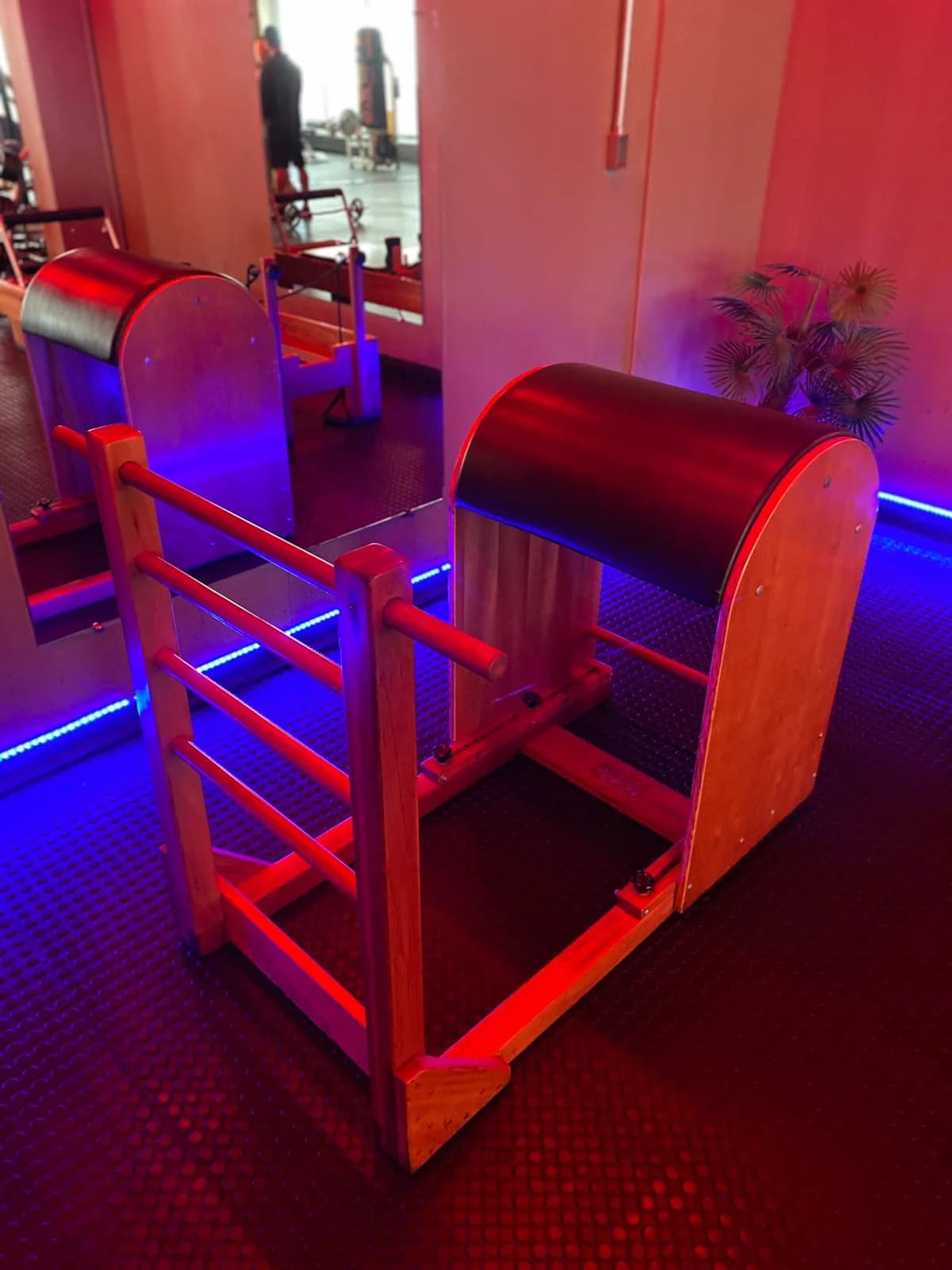 Studio Pedro Rosa | Personal e Pilates, Musculação – foto 3