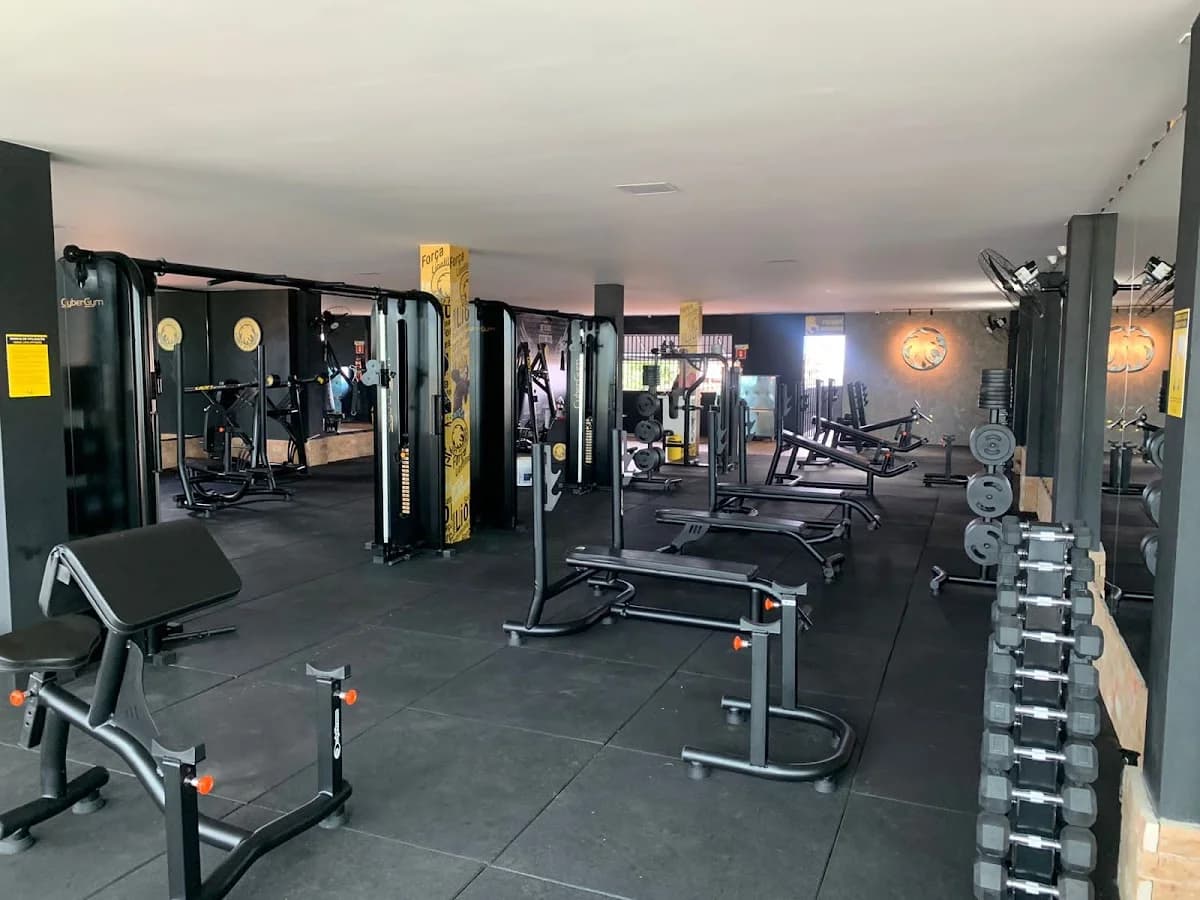 Rede Lion Fitness - Unidade Águas Claras – foto 1