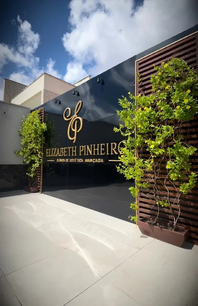 Clínica Elizabeth Pinheiro Estética Avançada - Limpeza de Pele, Gordura Localizada, Flacidez, Criolipólise, Terapia Capilar