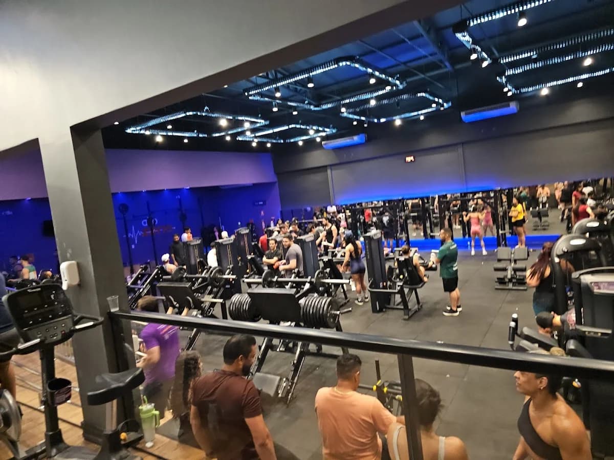 Allp Fit – foto 1