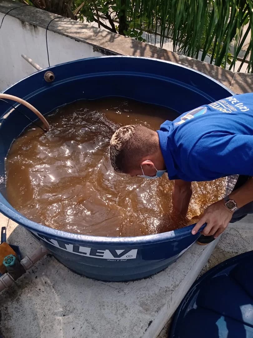 Dedetizadora Sanitizatudo - Dedetização e Controle de Pragas – foto 3