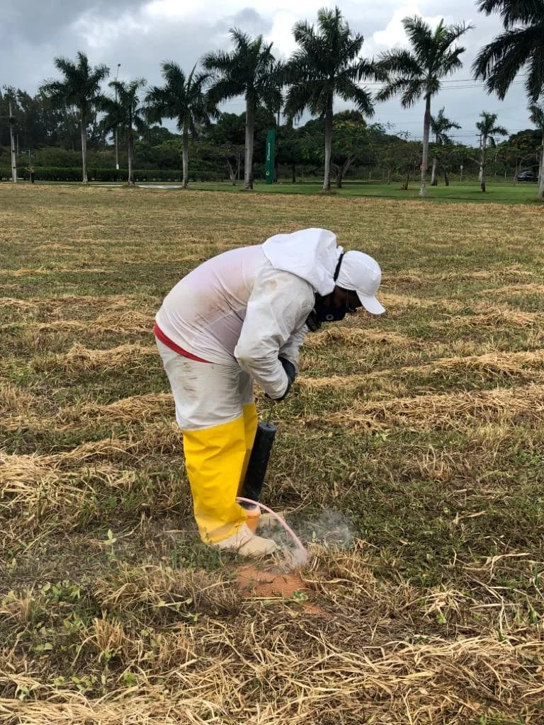 Biotec Assessoria e Serviços Jardinagem Mão de Obra Terceirizada – foto 3