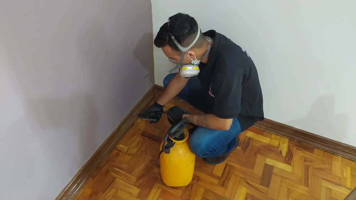 Dedetizadora DD AGRO Controle de Pragas Urbanas – foto 1