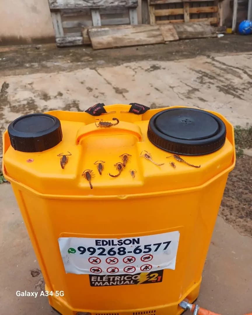 Dedetizadora Aniquila Pragas | Controle de pragas Urbanas | Campo Grande MS | Limpeza de caixa d’água
