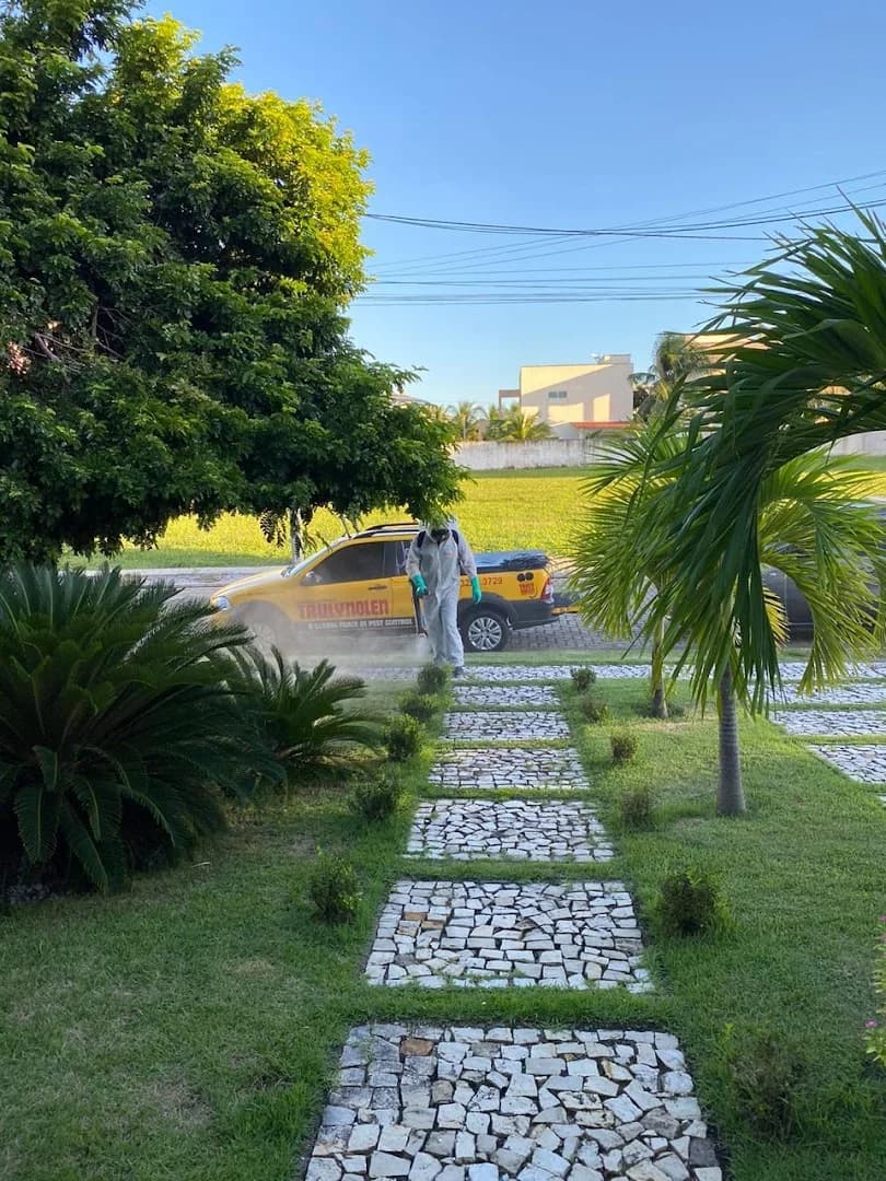 Dedetização em Fortaleza – foto 2