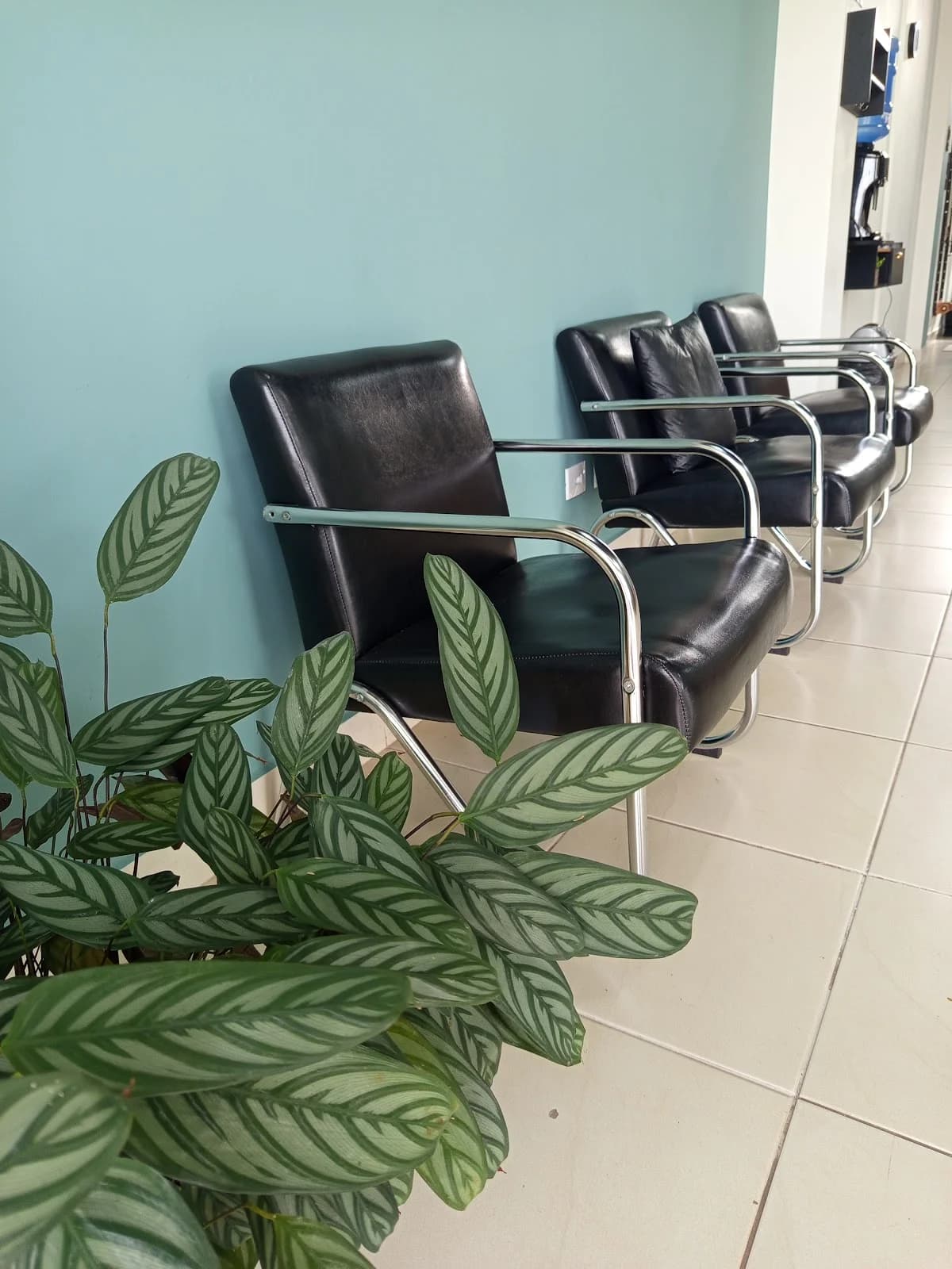 Essence Care Pilates – foto 2