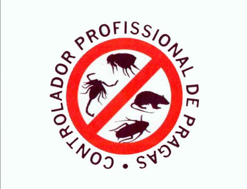 Nocaute DF