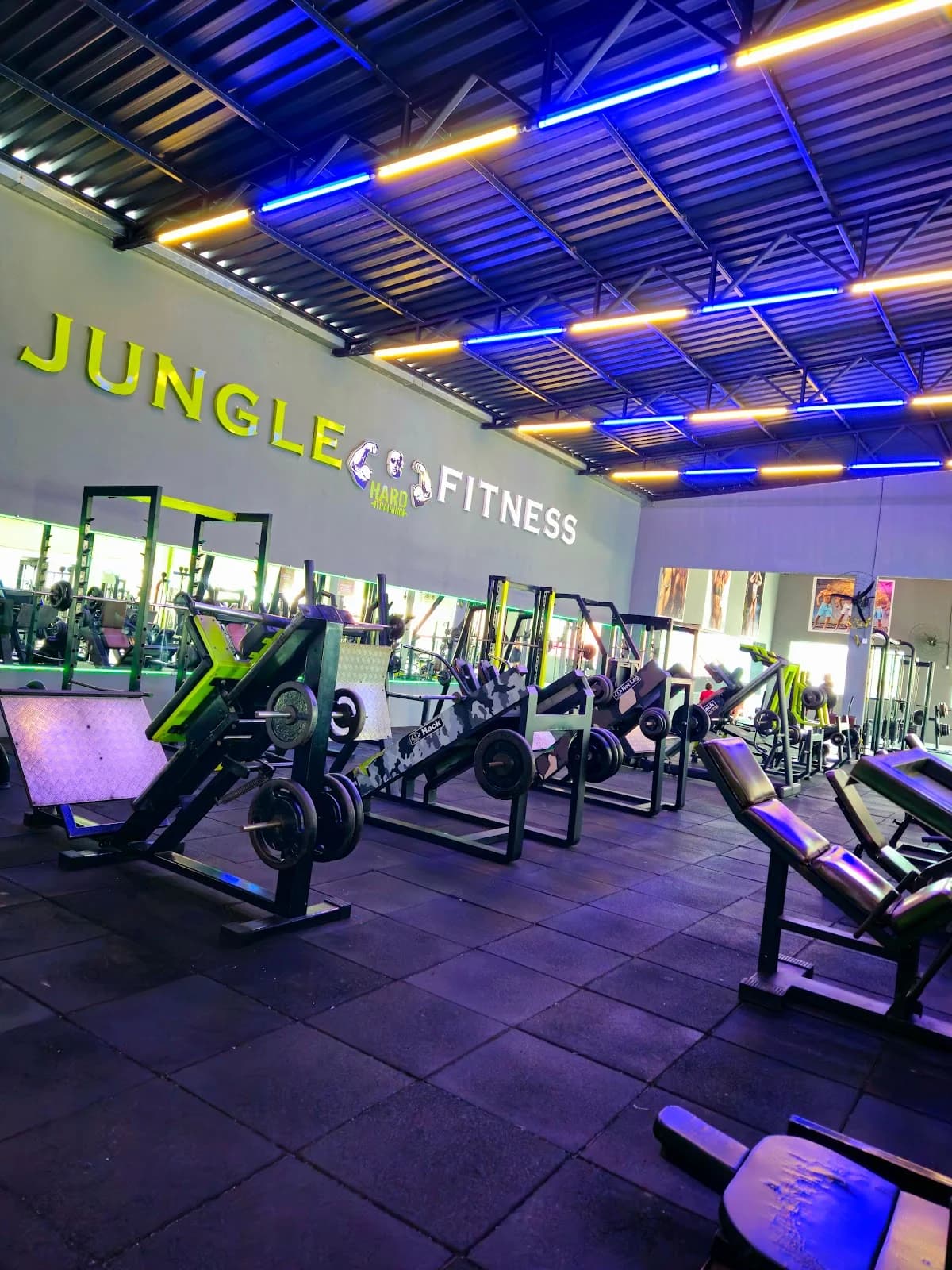 Academia Jungle fitness – foto 2