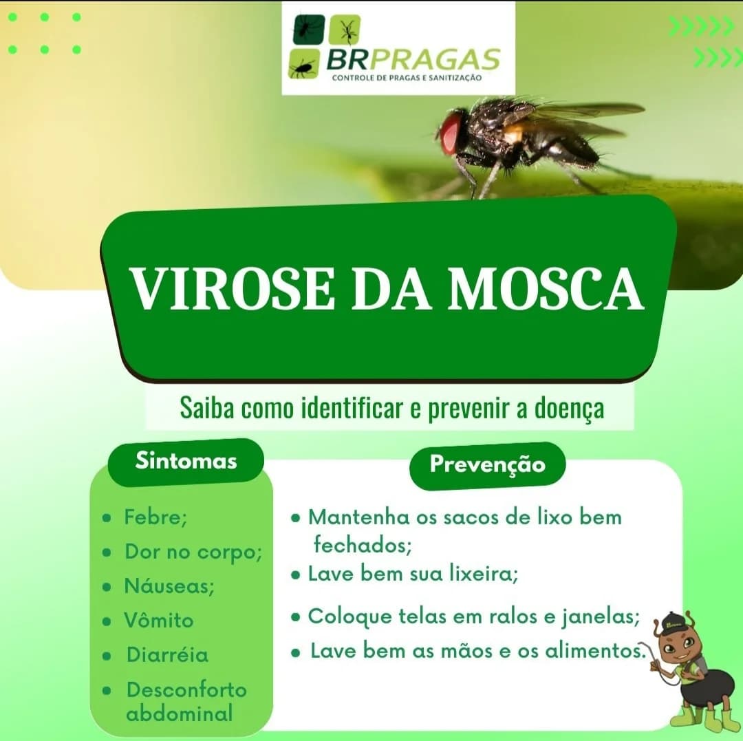 BR Pragas Campinas - Dedetização de cupins, ratos, baratas, escorpiões, formigas, pulgas, carrapatos e desentupimento – foto 3
