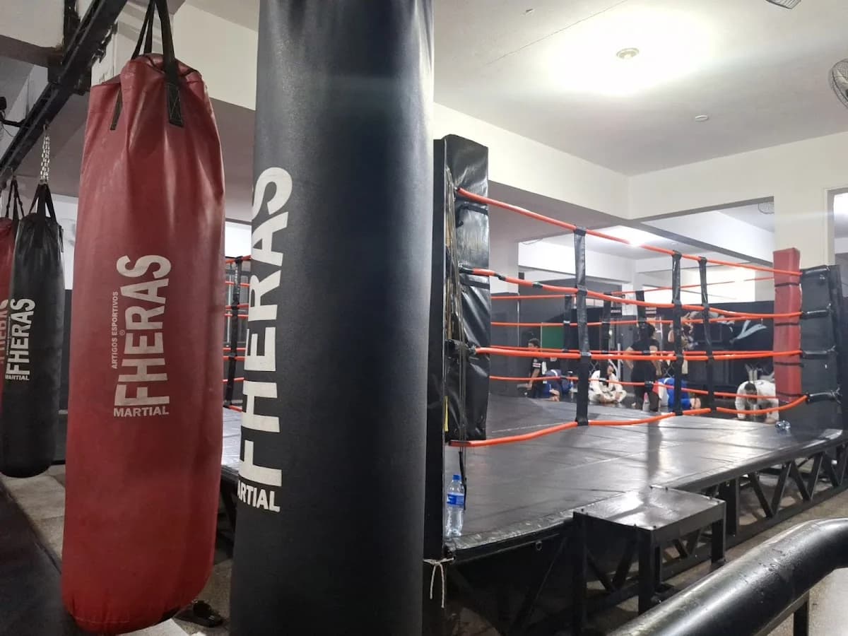 Schima Combat – foto 2