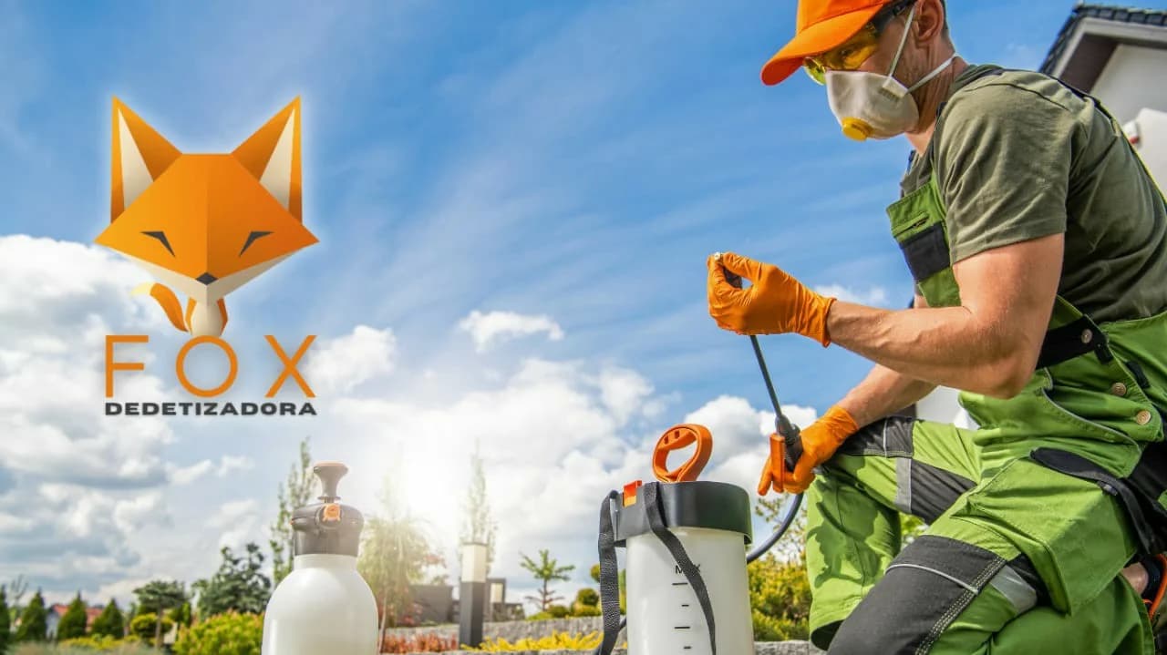 Fox Saúde Ambiental | Dedetização Recife