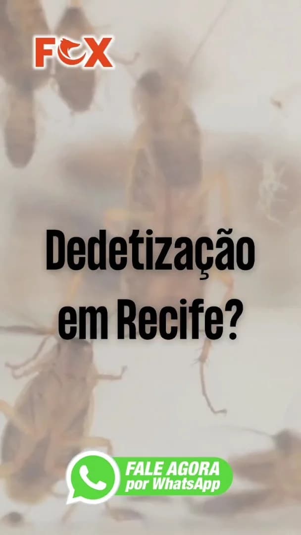 Fox Saúde Ambiental | Dedetização Recife – foto 2