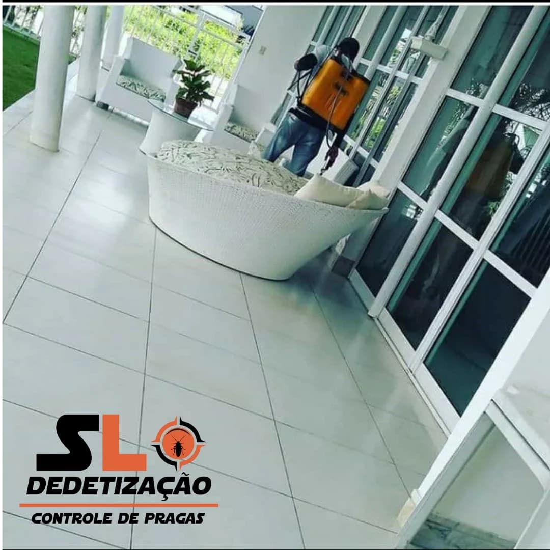 SL DEDETIZADORA – foto 3
