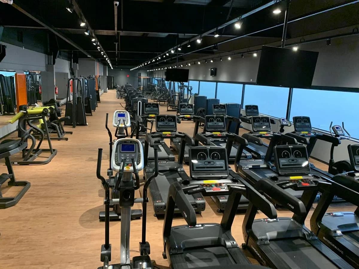 Panobianco Academia – foto 1