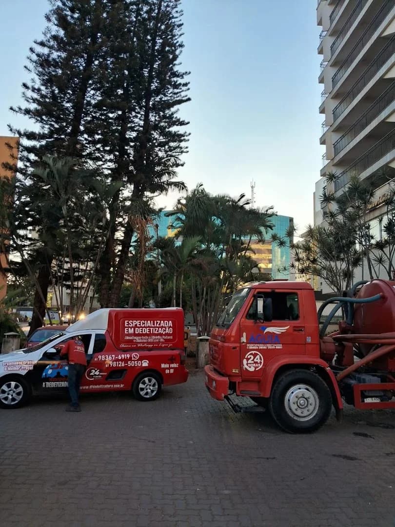 DF SERVICOS – foto 3