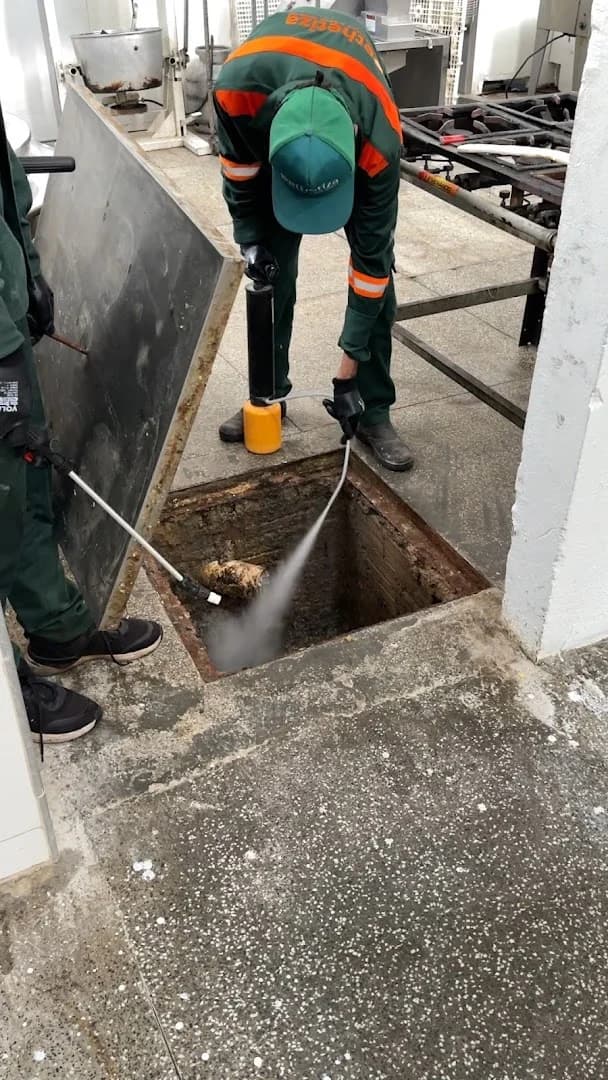 Dethetiza - Dedetização em Teresina – foto 3