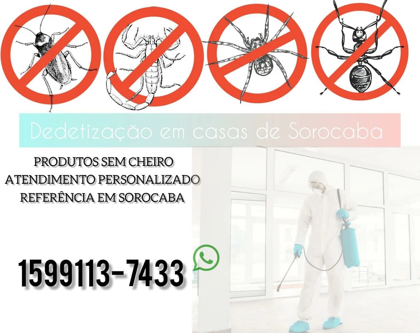 Fuji pragas dedetização me – foto 3