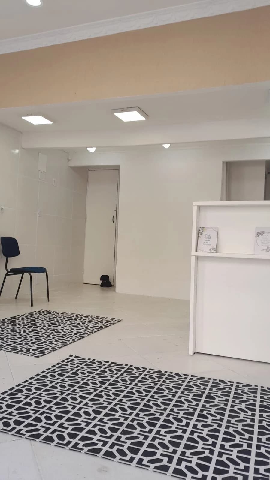 Beatriz Pugliesi Fisioterapeuta || Pilates – foto 2