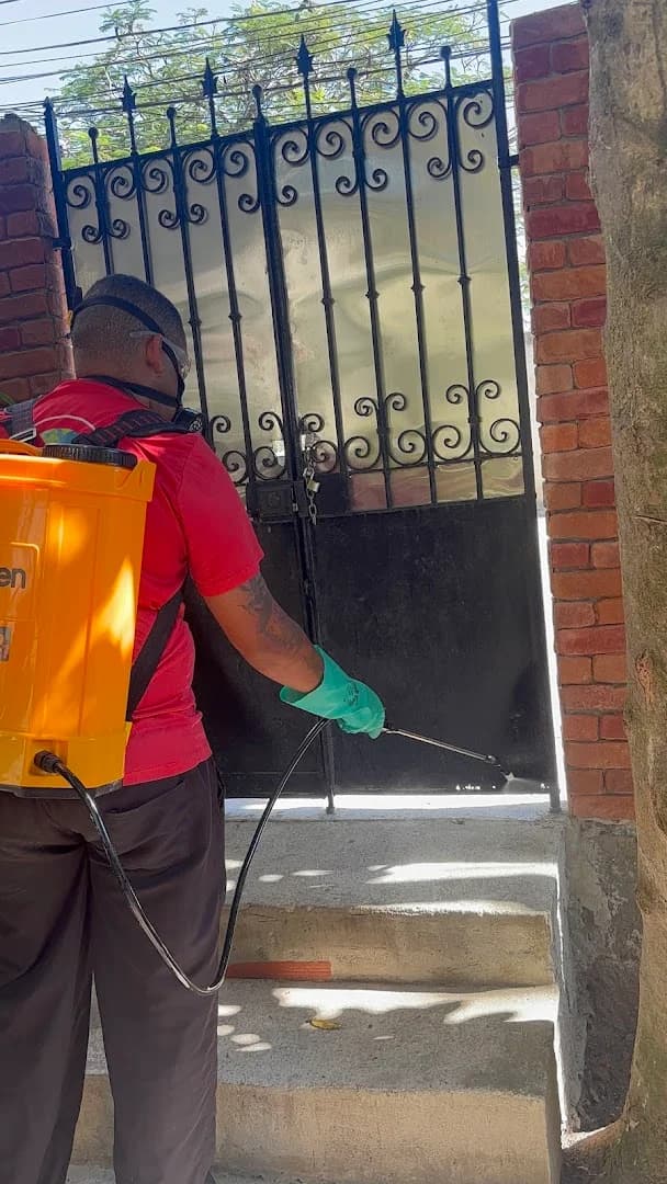 Dedetização São Gonçalo insetplanet dedetizadora