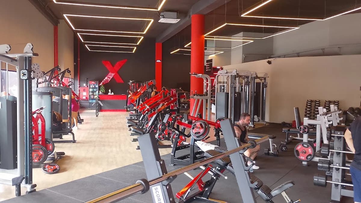 Pró Ex Company Academia - Jd Cocaia – foto 1