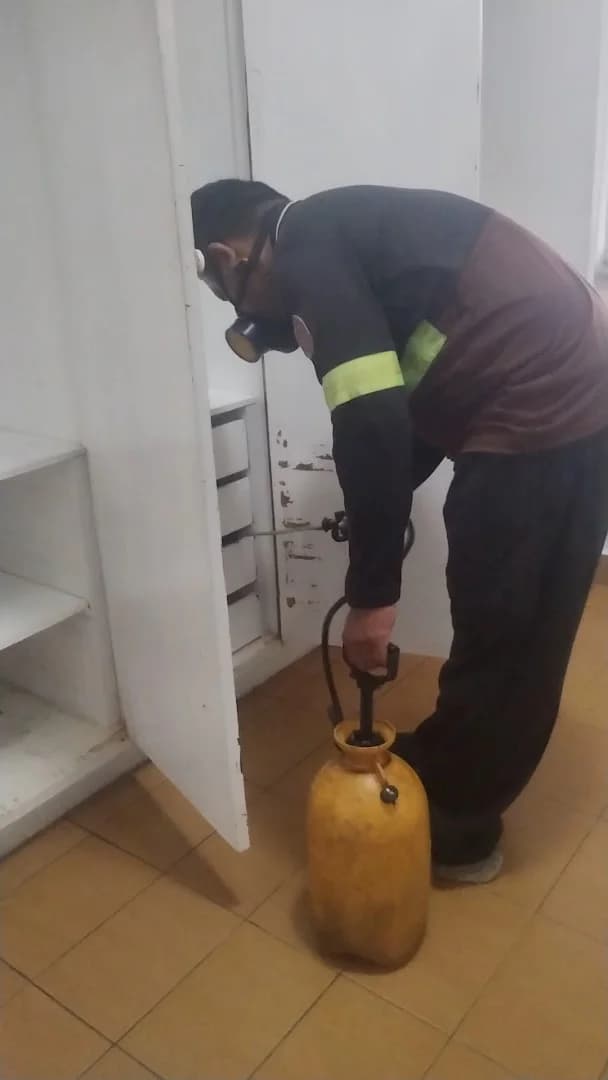 Dedetizadora | Manaus Controle de Pragas ltda – foto 2