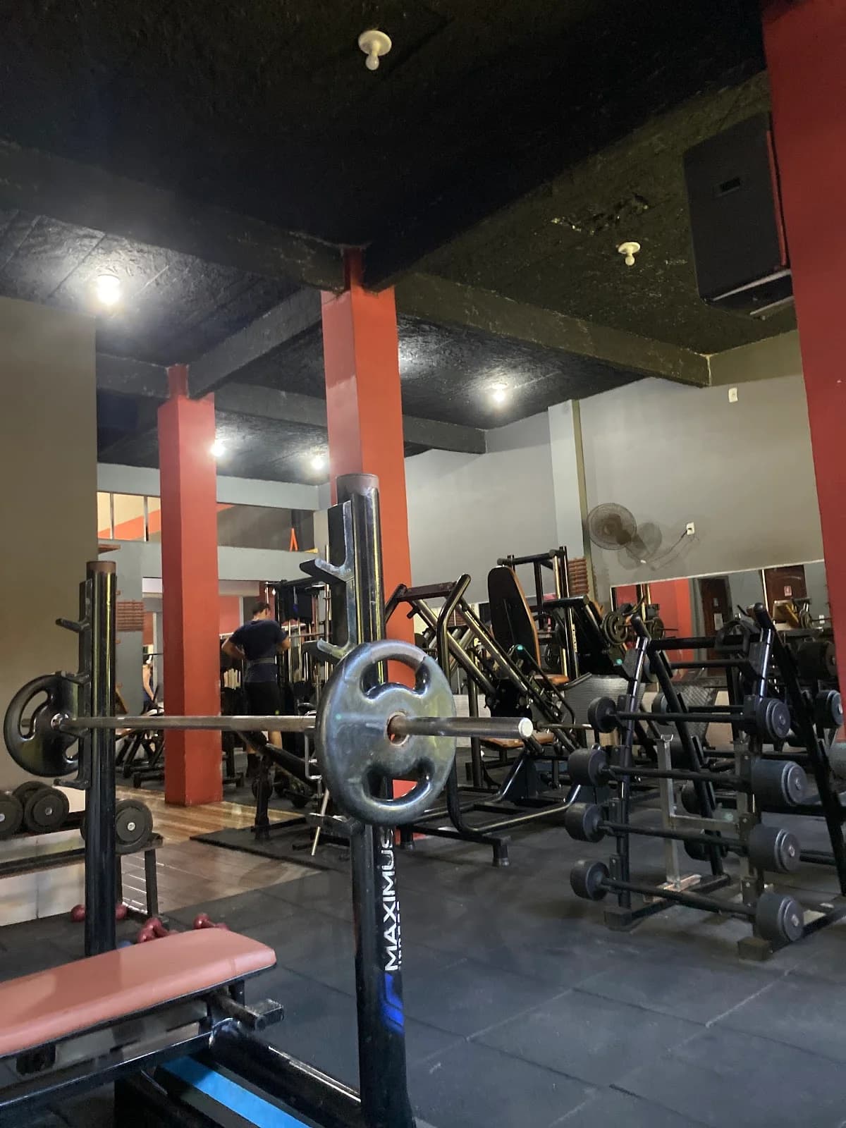 ACADEMIA N1 FITNESS – foto 1