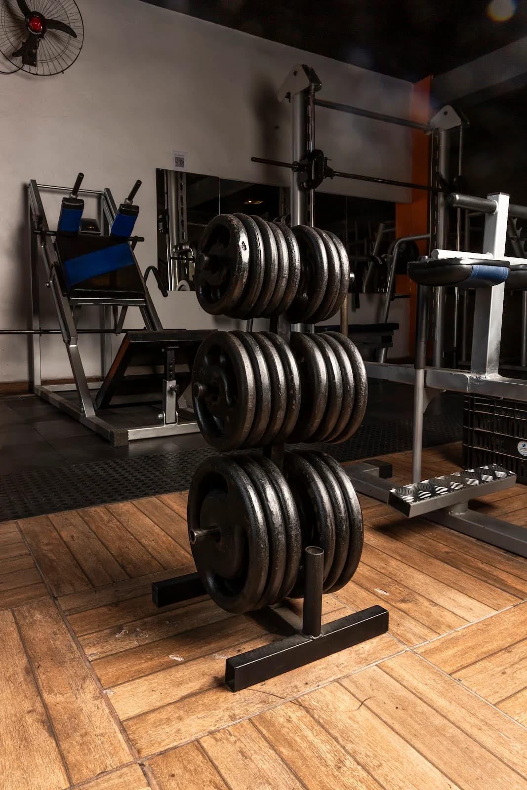Academia Jaraguá SP - Alcateia Life – foto 3