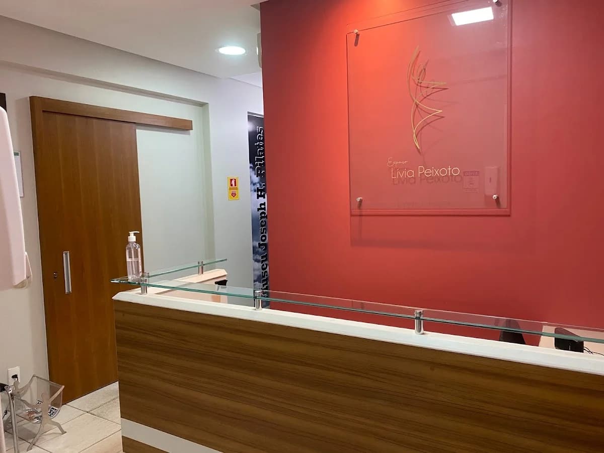 ESPAÇO LÍVIA PEIXOTO – foto 2