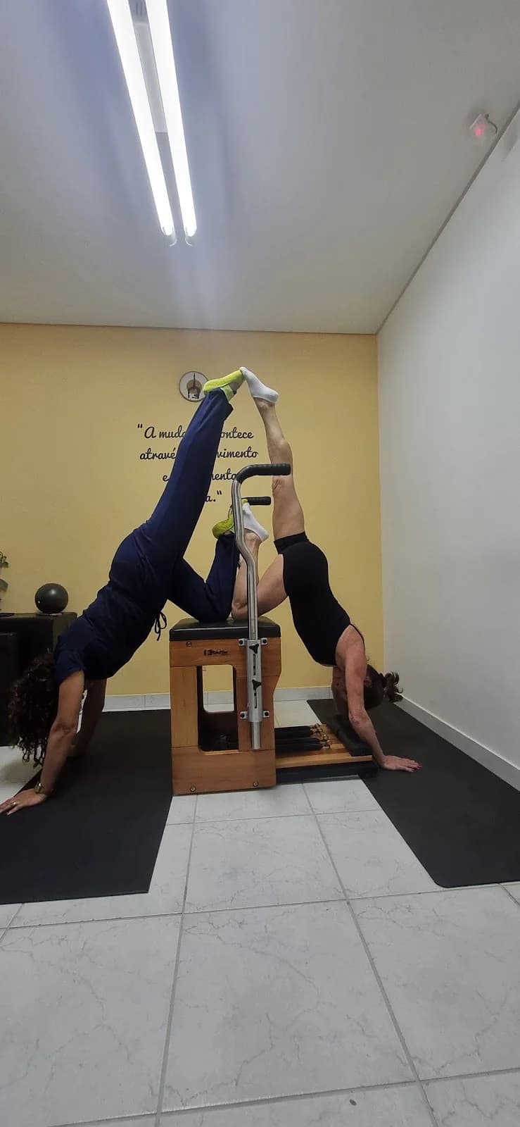 Pilates e Reabilitação - Dra Stella Lima – foto 2