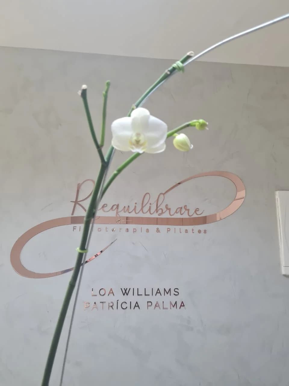 Studio Reequilibrare - Fisioterapia & Pilates – foto 1