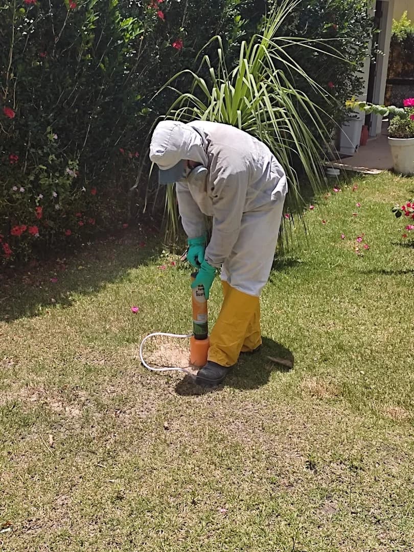 Nocaute Controle de Pragas – foto 3