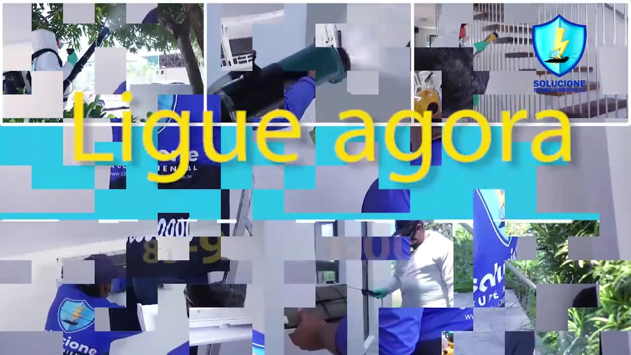 DEDETIZADORA - CLIMATIZAÇÃO - ESTOFADOS - SOLUCIONE - SAÚDE AMBIENTAL - João Pessoa – foto 3