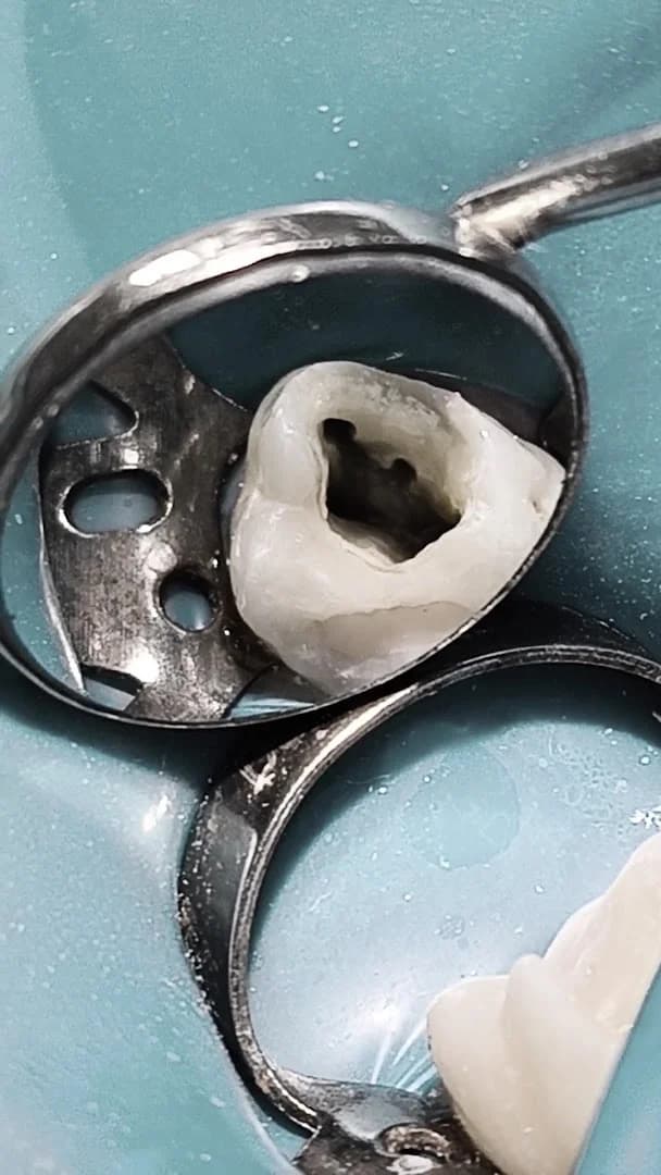 Dr. Pedro Pinheiro – Dentista 24h Urgências – foto 3