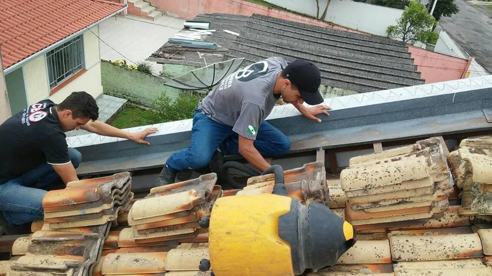 CB Dedetizadora Curitiba – foto 3
