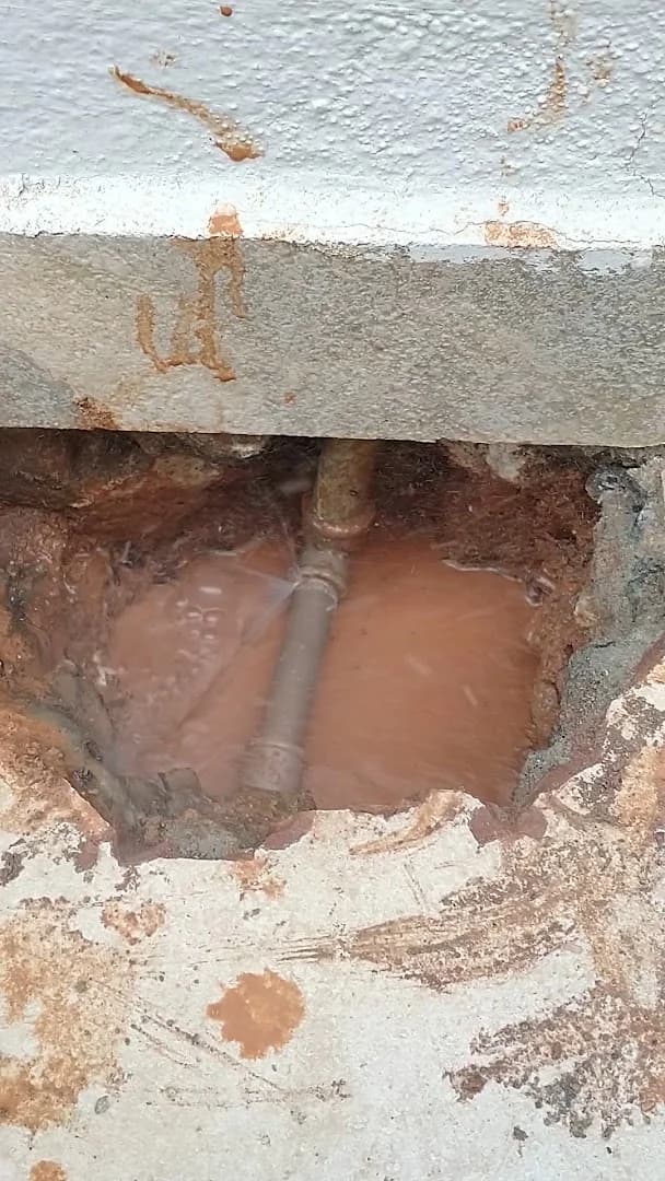 Help Detecção de Vazamentos – foto 3