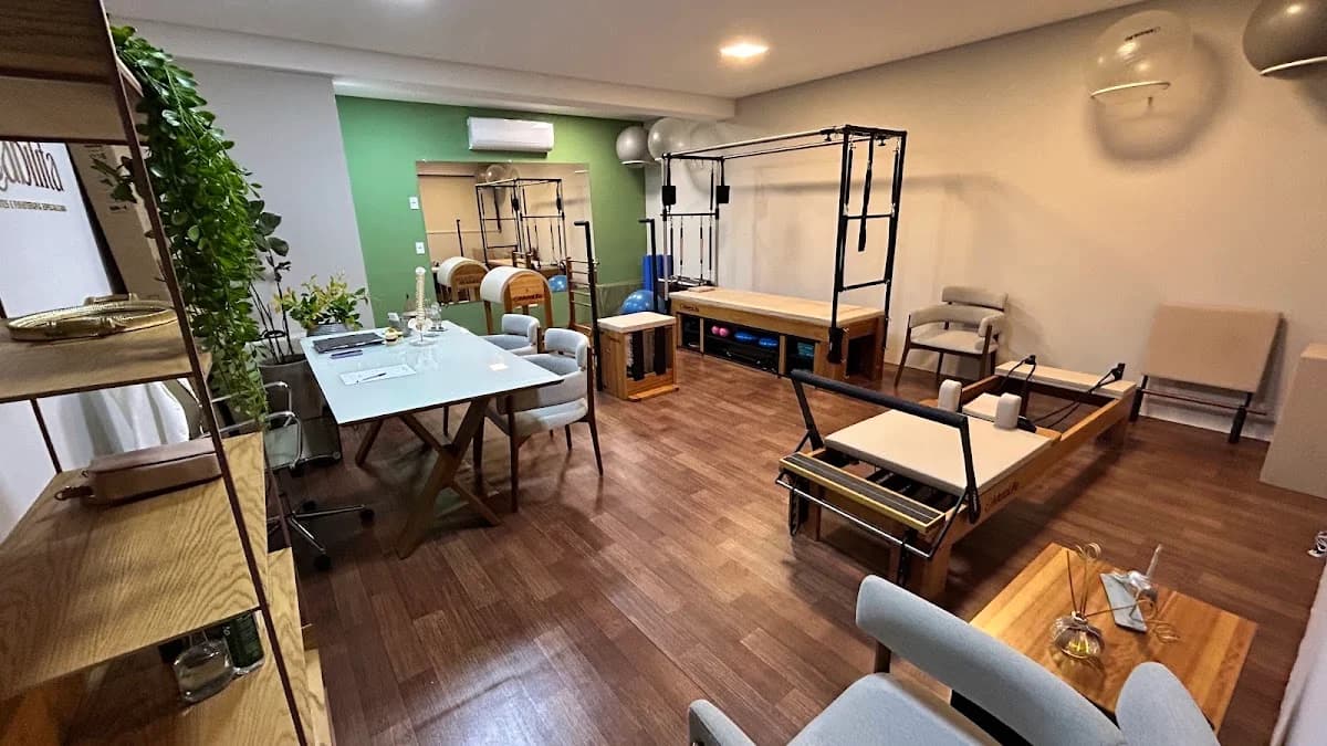 Reabilita Pilates Clínico e Fisioterapia | Especializada em Coluna | Hénia de Disco | Nervo Ciático | Buritis BH – foto 2